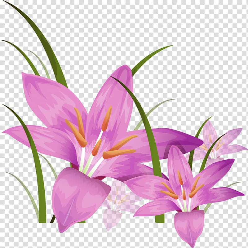 Desktop , gladiolus transparent background PNG clipart