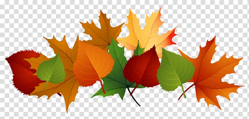 Autumn leaf color , Windy Leaves transparent background PNG clipart