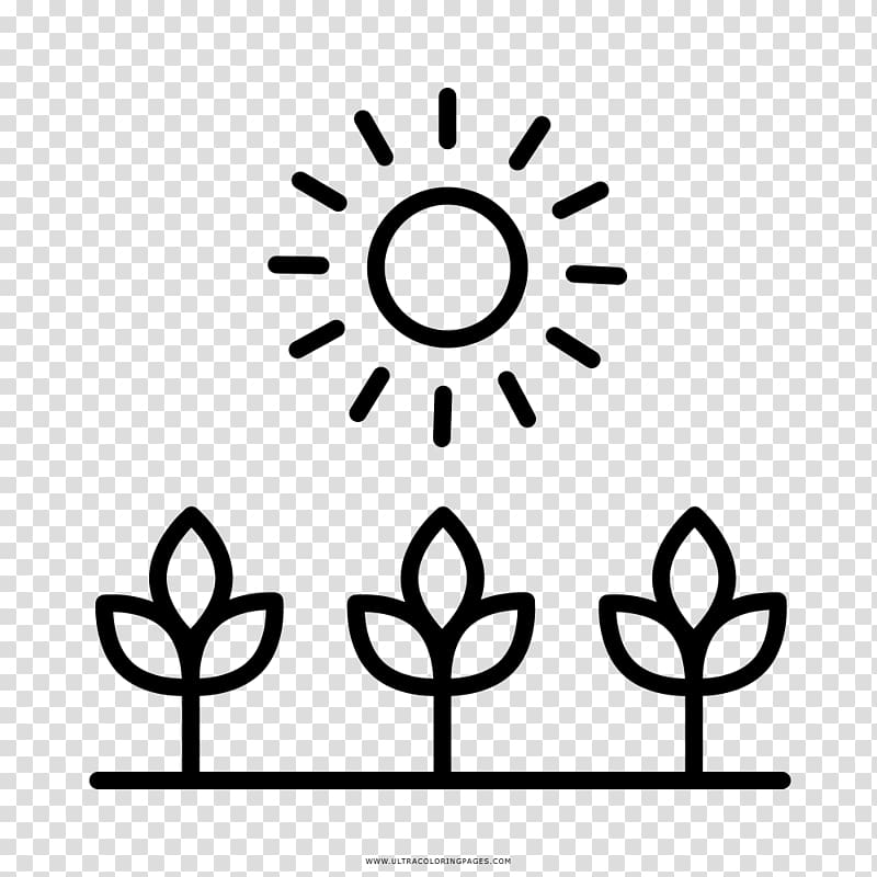 Crop Agriculture Computer Icons Farmer, field transparent background PNG clipart