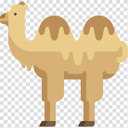 Dromedary Scalable Graphics Icon, camel transparent background PNG clipart