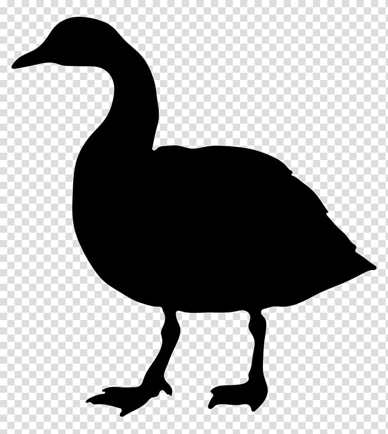 Canada Goose Silhouette , Goose transparent background PNG clipart