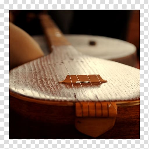 Setar Musical Instruments Guitar Picks, musical instruments transparent background PNG clipart