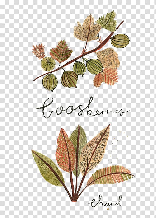 Drawing Art Food Painting Illustration, Hand-painted vintage foliage pattern transparent background PNG clipart