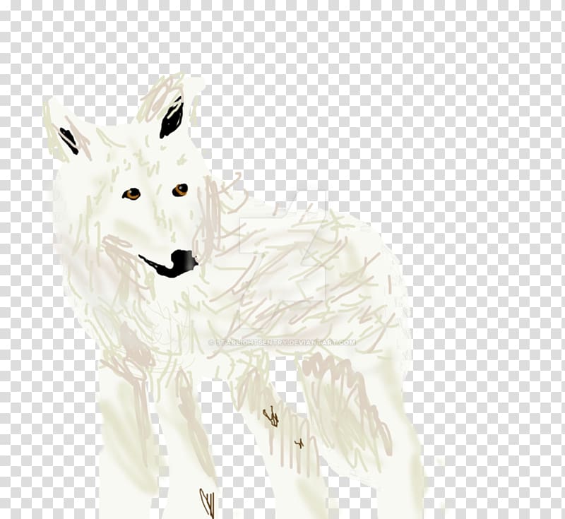 Arctic fox Gray wolf Hare White, arctic wolf transparent background PNG clipart