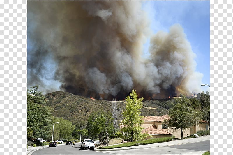 2017 California wildfires December 2017 Southern California wildfires Forest, forest transparent background PNG clipart