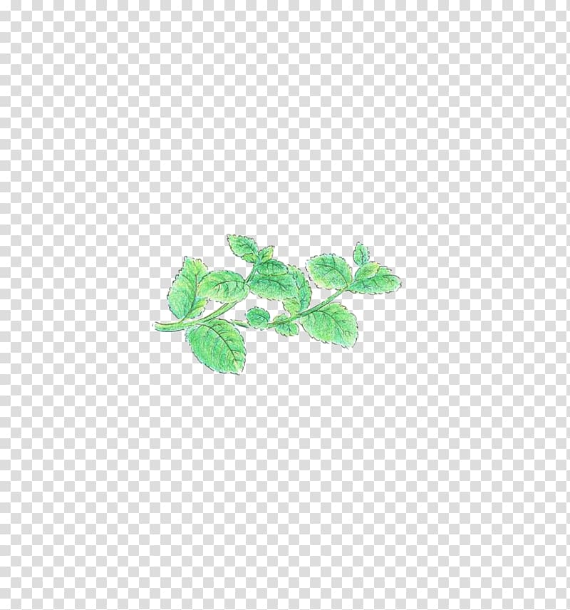 Green Leaf Pattern, mint transparent background PNG clipart