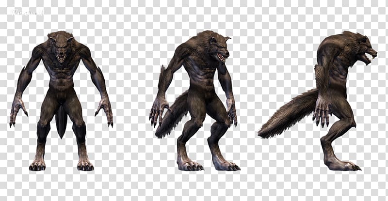 The Elder Scrolls Online The Elder Scrolls V: Skyrim ZeniMax Online Studios Video game, werewolf transparent background PNG clipart