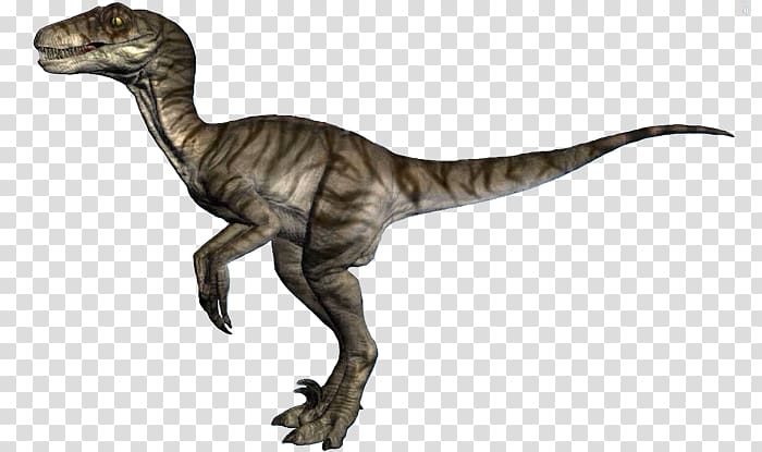 Velociraptor Yamaha Raptor 700R Tyrannosaurus Dinosaur, Jurassic World Evolution transparent background PNG clipart