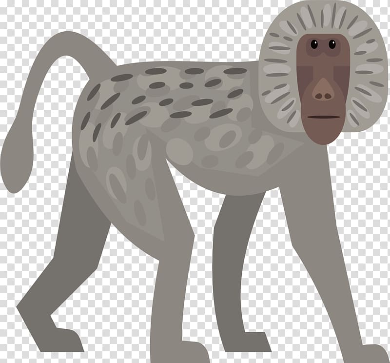 Euclidean Monkey, Gray monkey transparent background PNG clipart