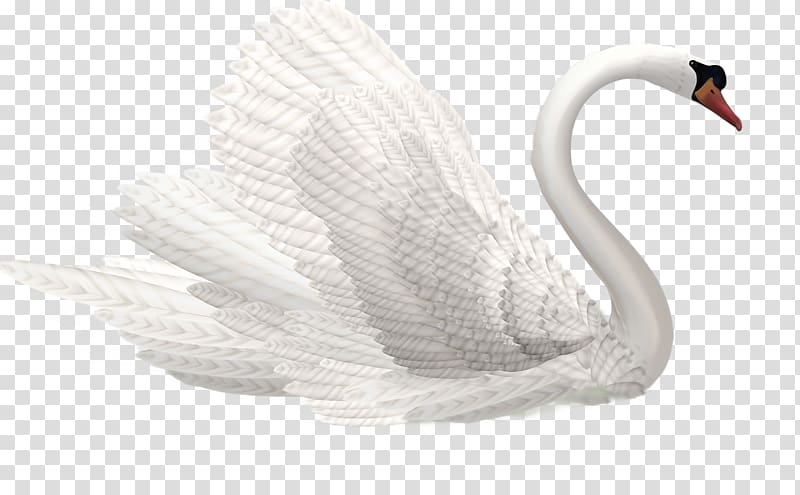 Cygnini , swan transparent background PNG clipart