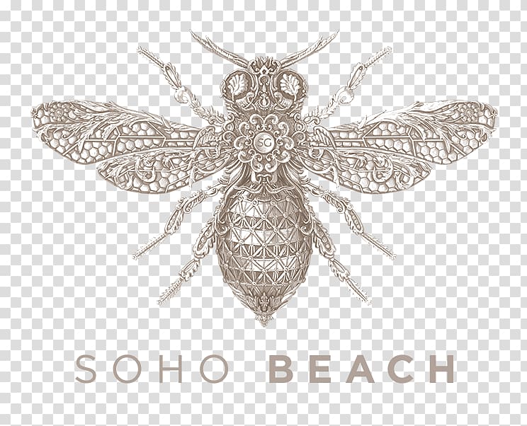 Soho Garden DXB SoHo Beach DXB ANTS 2018 Nightclub, beach transparent background PNG clipart