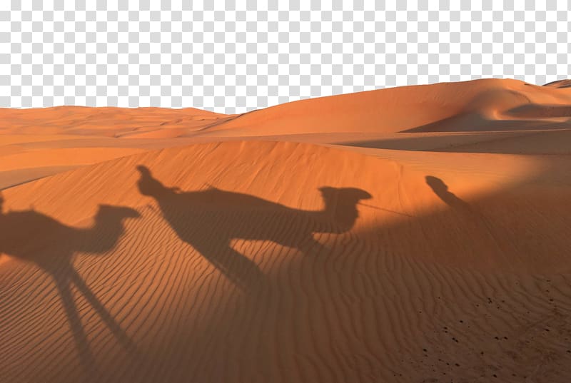 Dromedary Sahara Erg Desert, Golden Desert Sunset Camel Shadow transparent background PNG clipart