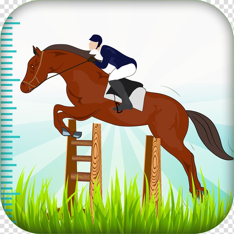 Horse Equestrian Show jumping Pony English riding, horse riding transparent background PNG clipart