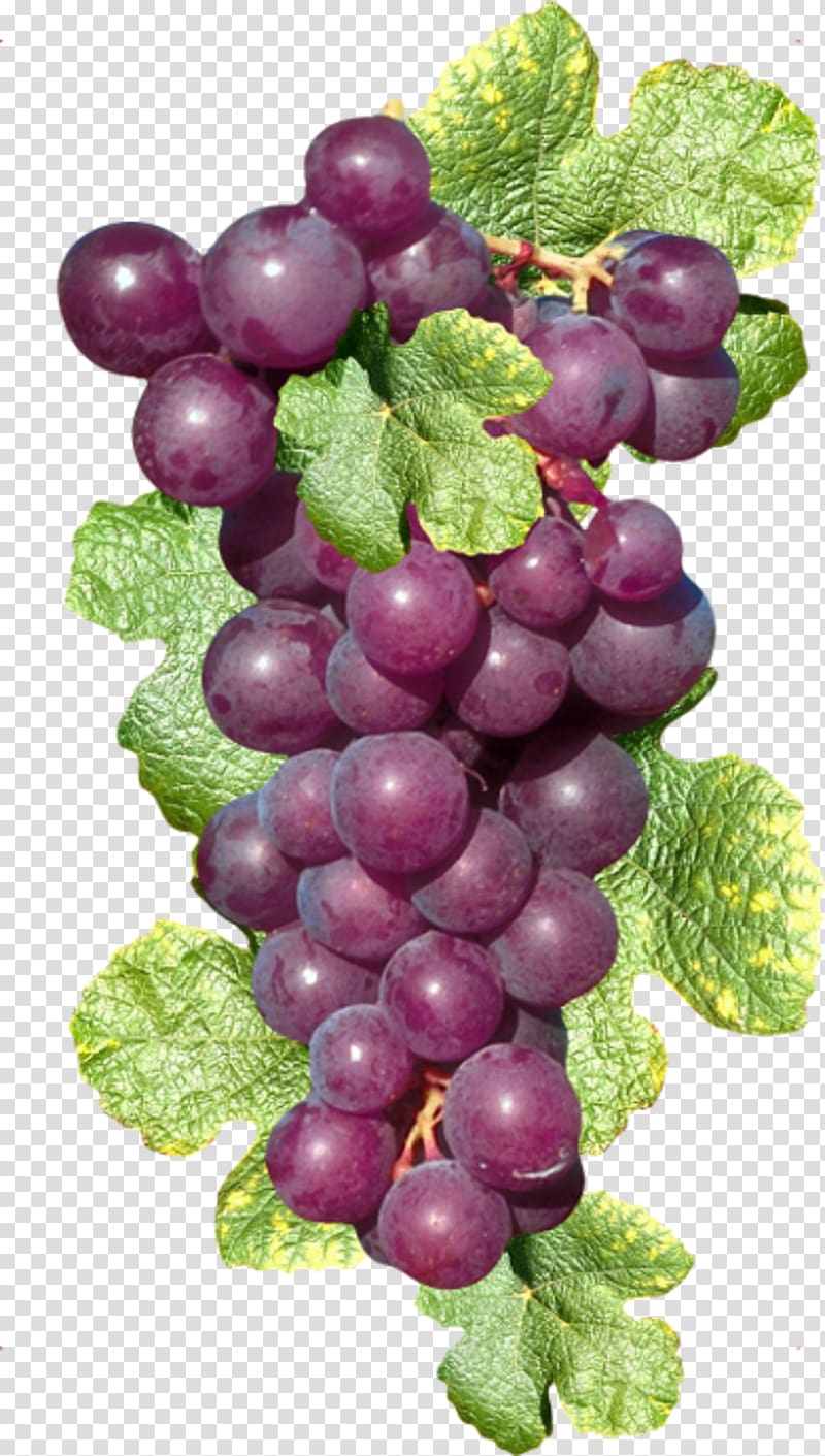 Sultana Zante currant Common Grape Vine Wine, grape transparent background PNG clipart