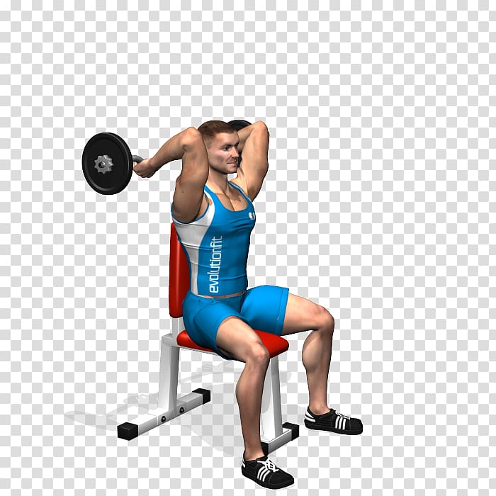 Weight training Dip Dumbbell Lying triceps extensions Barbell, dumbbell transparent background PNG clipart