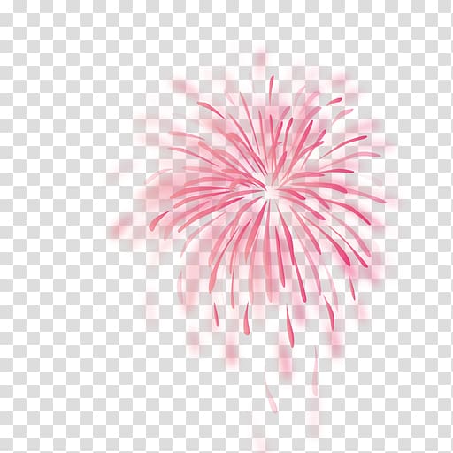 Pink Fireworks Computer Software , pink background transparent background PNG clipart