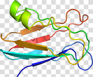 Line Point , line transparent background PNG clipart thumbnail