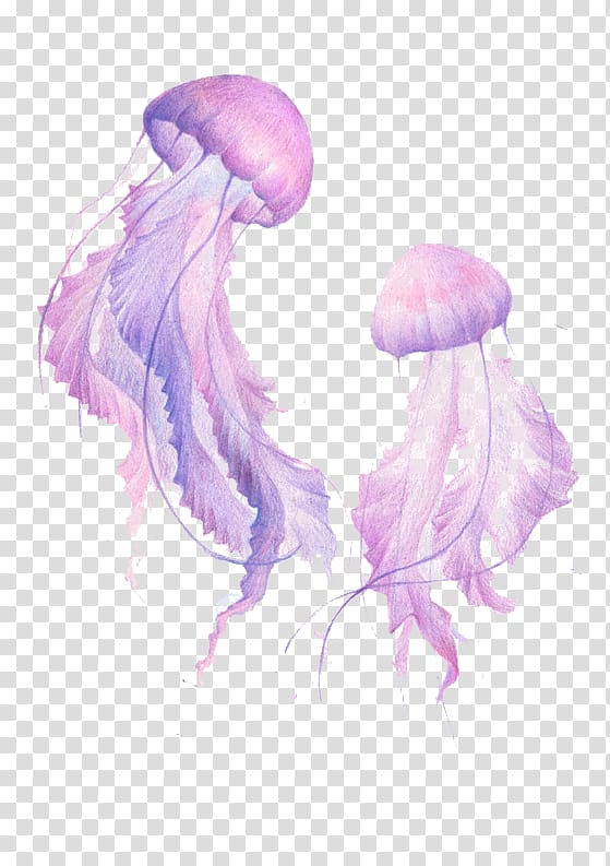 hand-painted purple jellyfish transparent background PNG clipart