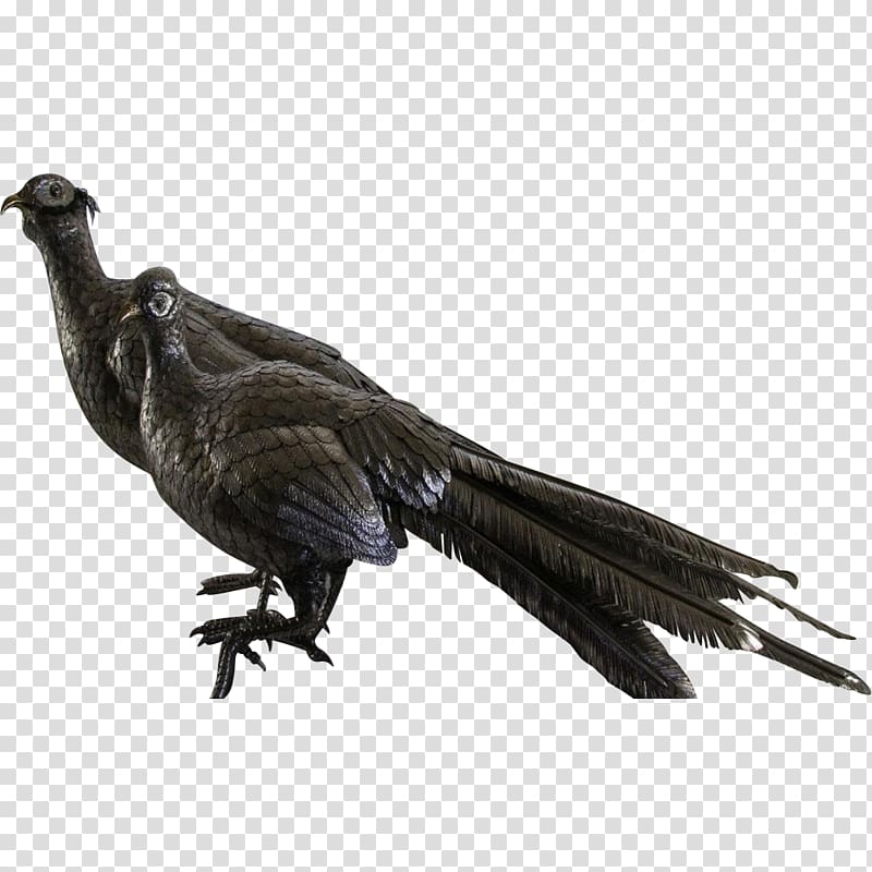 Feather Fauna Beak Galliformes Vulture, feather transparent background PNG clipart