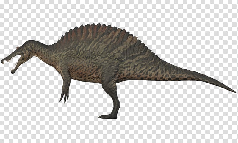 Tyrannosaurus Spinosaurus Baryonyx Giganotosaurus Utahraptor, dinosaur transparent background PNG clipart