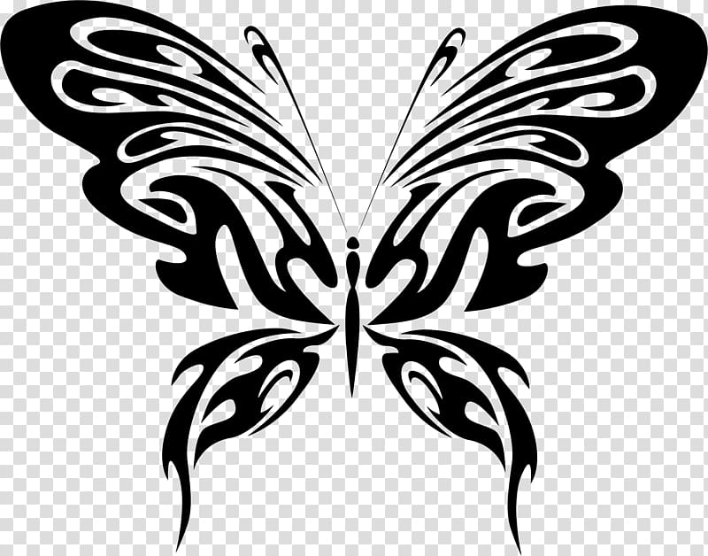 Butterfly Line art Drawing , finish line transparent background PNG clipart