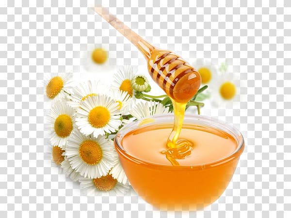 Queen bee Royal jelly Honey Health, bee transparent background PNG clipart