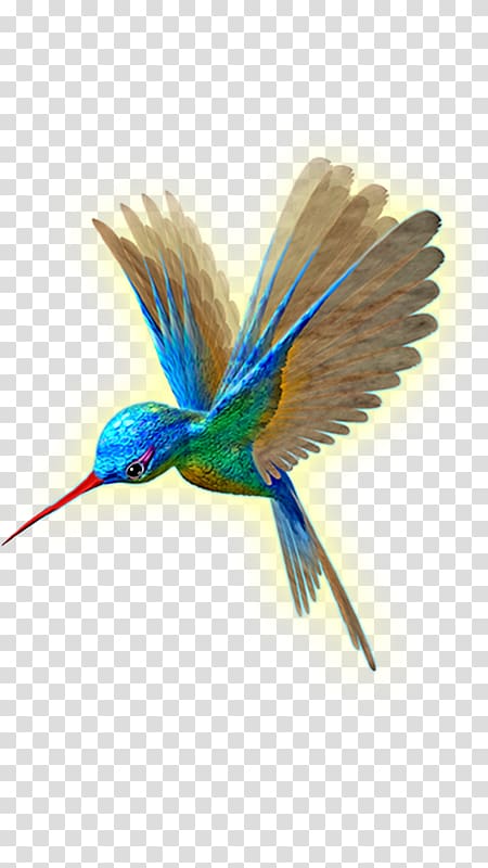 Hummingbird Wing Flight, beija dlor transparent background PNG clipart