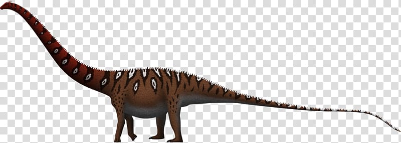 Dinheirosaurus Amphicoelias Supersaurus Brachiosaurus Allosaurus, dinosaur transparent background PNG clipart