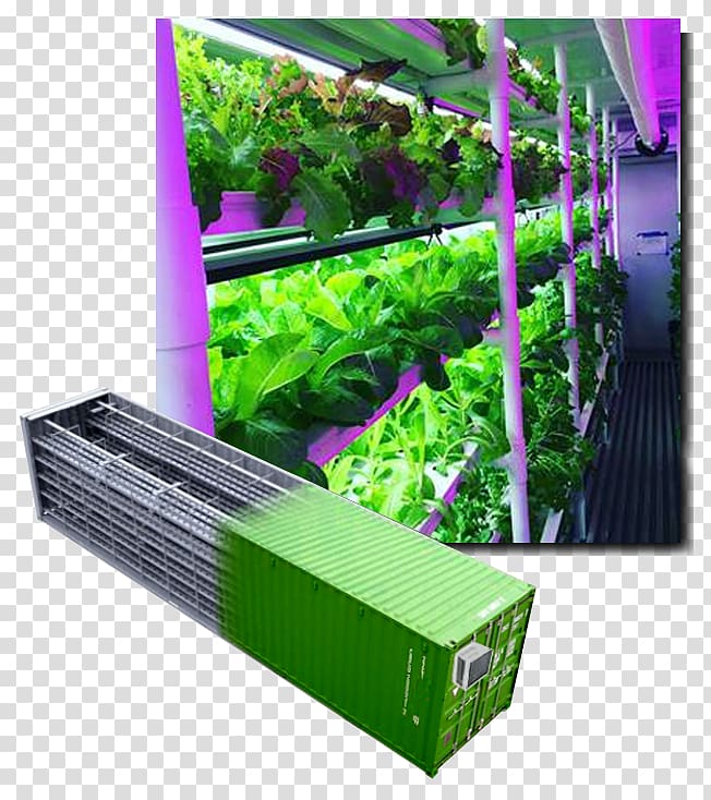 Intermodal container Hydroponics Agriculture Shipping container Farm, lettuces transparent background PNG clipart