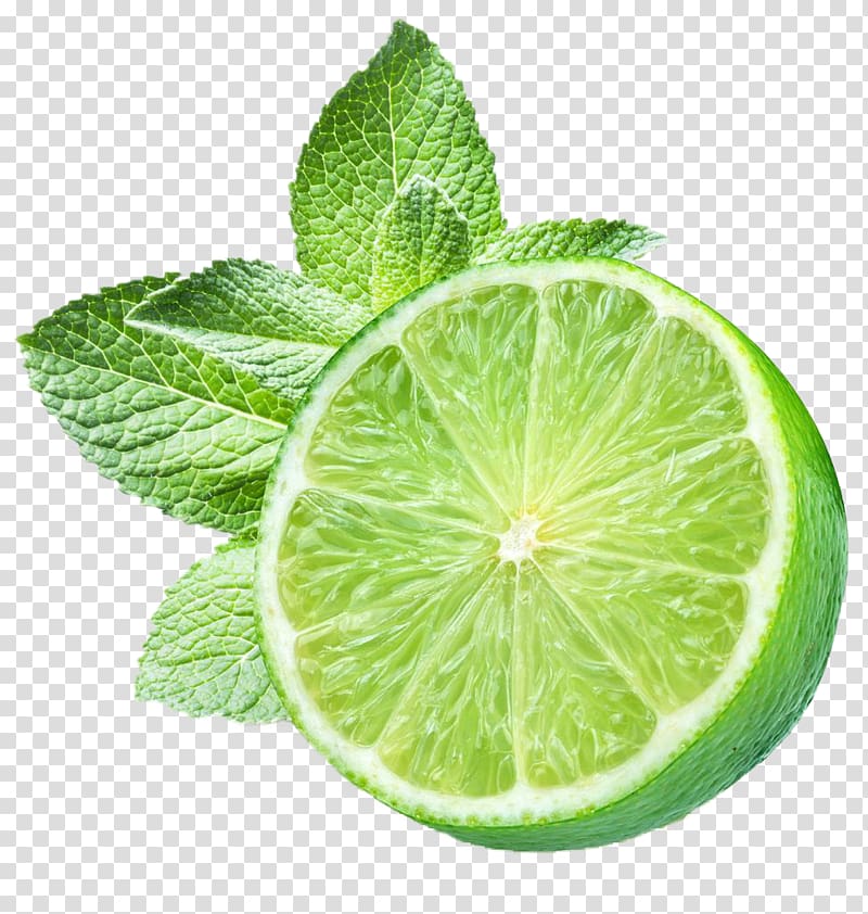 slice of green lemon, Alternative Health Services Home remedy Traditional medicine Cure, Lemon Mint transparent background PNG clipart