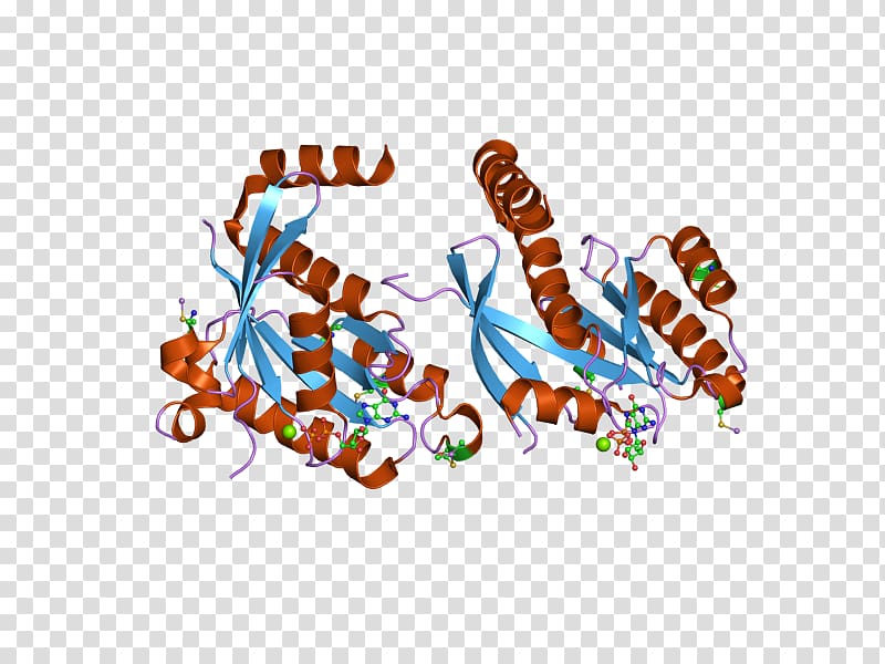 GEM Protein Gene Guanosine triphosphate, others transparent background PNG clipart