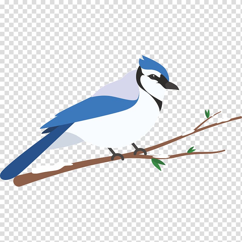 Blue jay Wren Feather Beak , feather transparent background PNG clipart ...