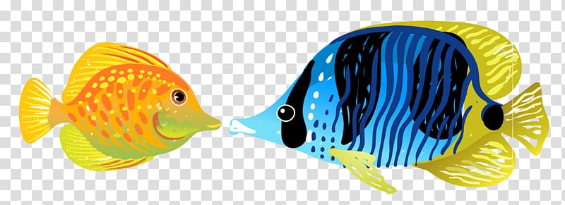 Fish Aquatic animal Illustration, fish transparent background PNG clipart