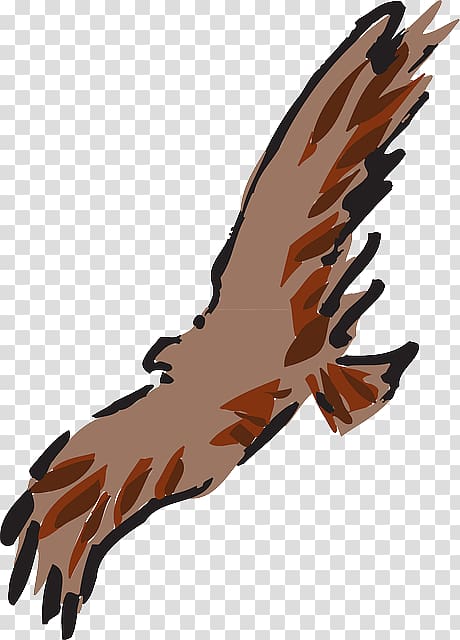 Eagle Feather Art , eagle transparent background PNG clipart