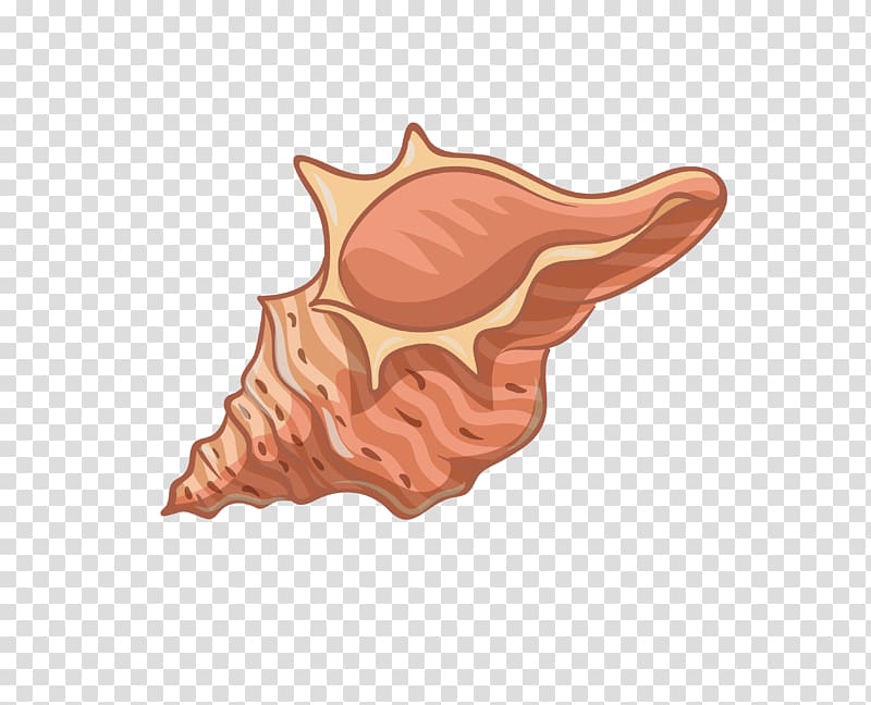 Conch, Conch Creative transparent background PNG clipart