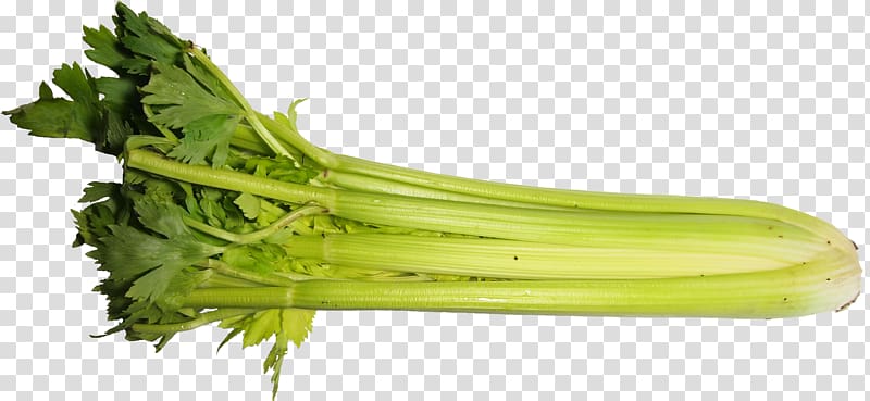 Celery Apium Vegetable Food Celeriac, ginger transparent background PNG clipart