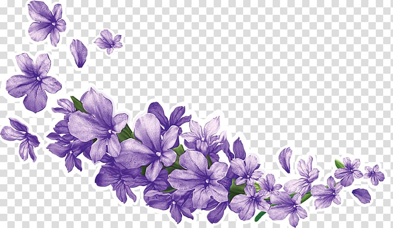 purple petaled flower , Young Living Business Cards doTerra Essential oil, lavender transparent background PNG clipart