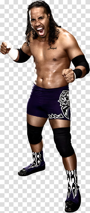 WWE SmackDown Naver Blog, others transparent background PNG clipart thumbnail