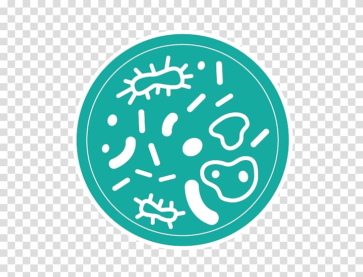 Petri Dishes Logo Microbiological culture Agar Cell, Petri dish transparent background PNG clipart