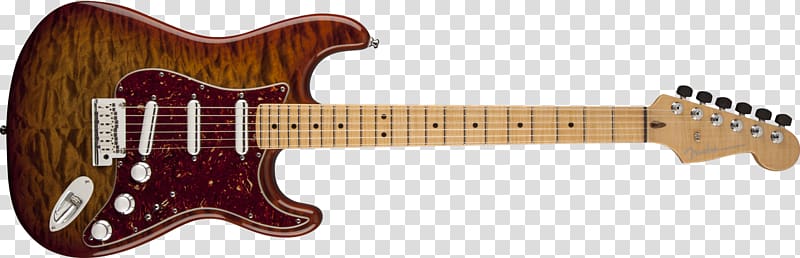 Fender Stratocaster Squier Fender Musical Instruments Corporation Fingerboard Guitar, tiger woods transparent background PNG clipart