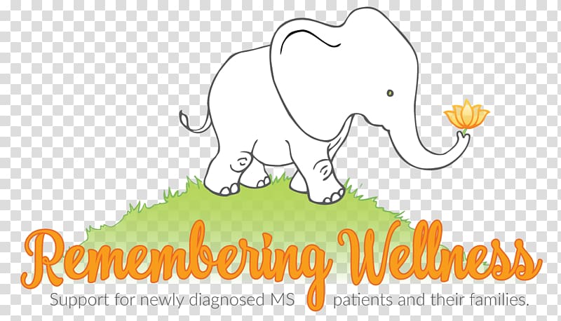 Indian elephant Cat Health coaching , pumpkin carriage transparent background PNG clipart