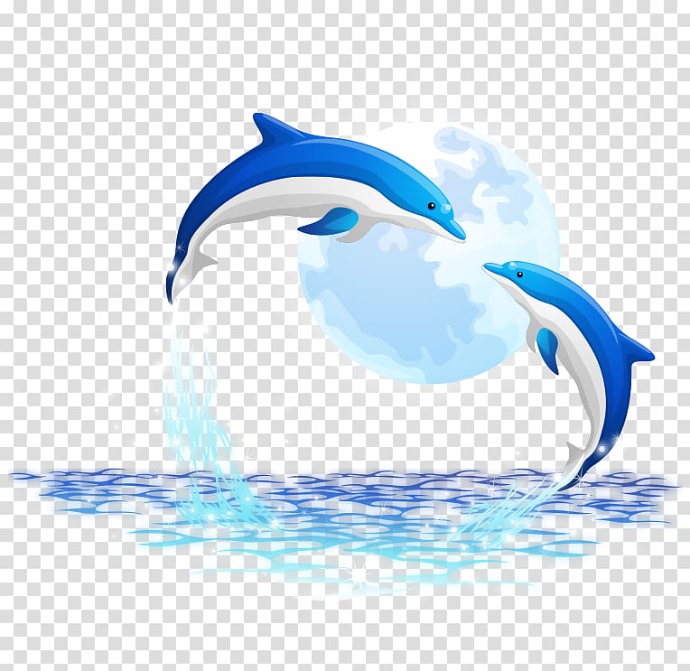two blue-and-white dolphins, Oceanic dolphin, dolphin transparent background PNG clipart
