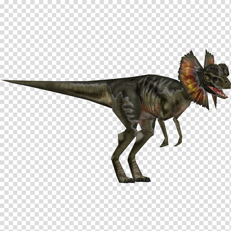 Velociraptor Dilophosaurus Allosaurus Dinosaur Tyrannosaurus, jurassic park transparent background PNG clipart