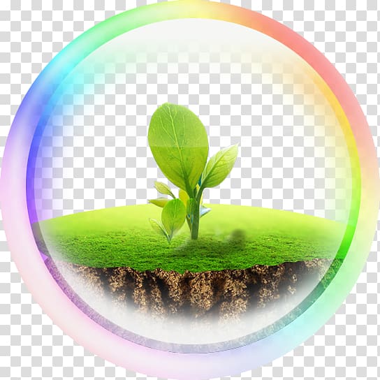 Earth , Earth,protect the Earth transparent background PNG clipart