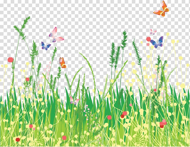 Flower Child Ozouer-le-Voulgis Website Organization, A beautiful butterfly and grass transparent background PNG clipart