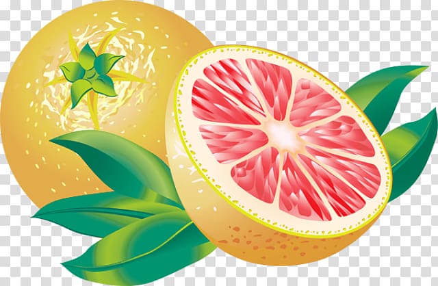 Juice Grapefruit Lemon , Of Citrus Fruits transparent background PNG clipart