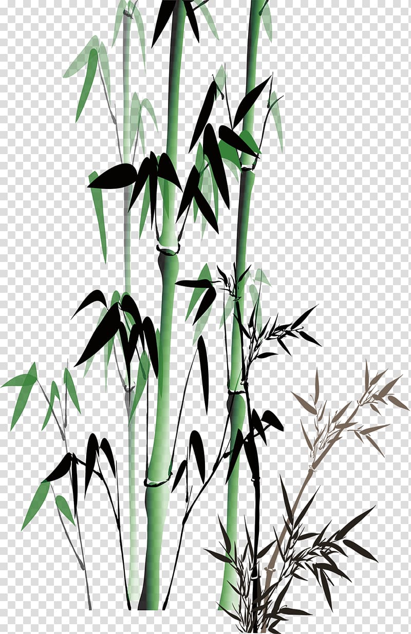 Bamboo Bamboe, Green Bamboo transparent background PNG clipart