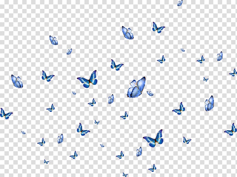 Butterfly Wink Papillon Transparent Background Png Clipart Hiclipart