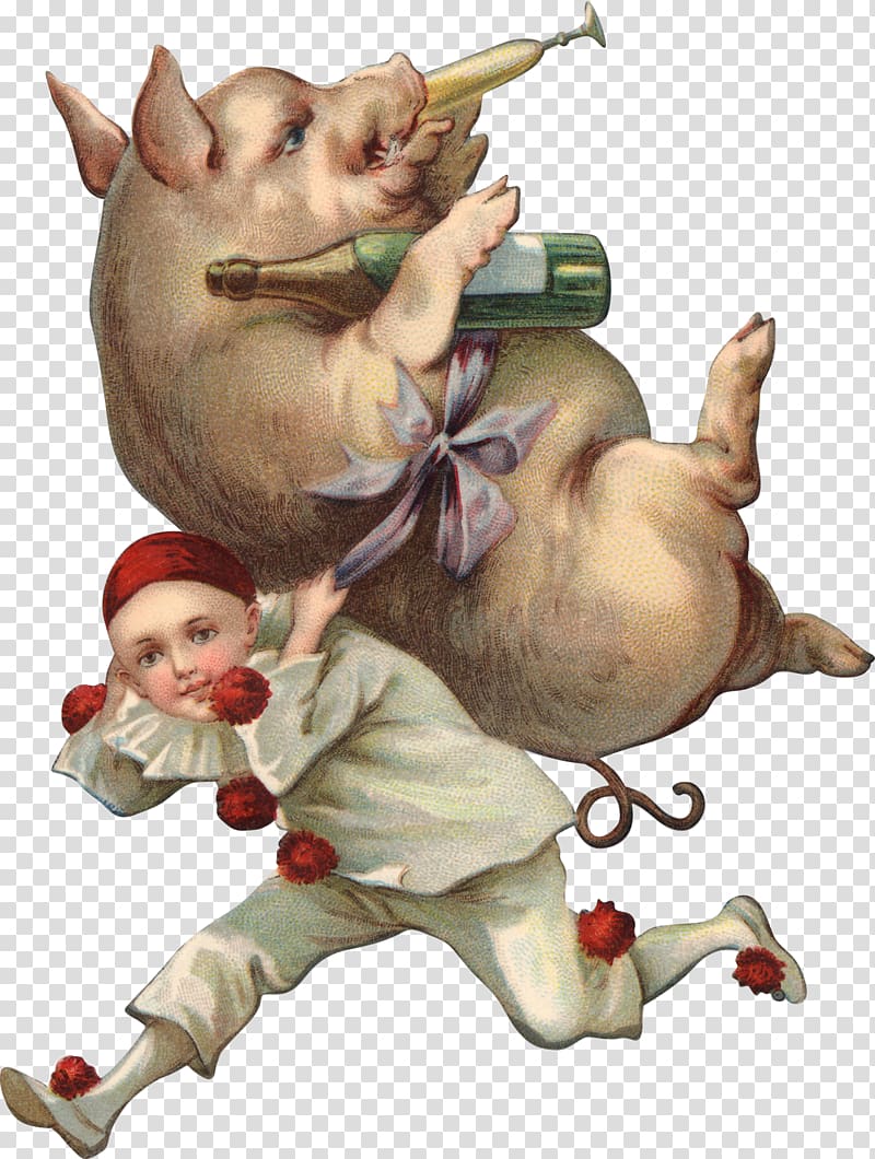 Domestic pig , postcard transparent background PNG clipart