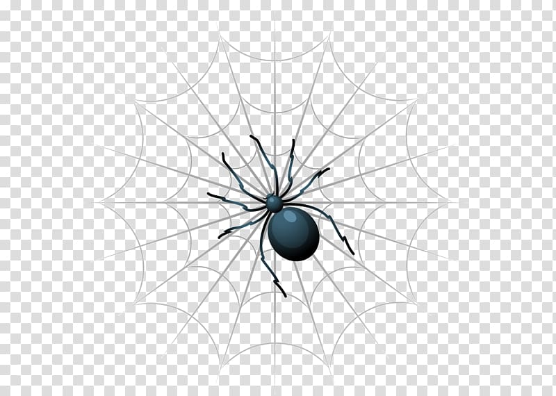 Spider web Insect, black spider transparent background PNG clipart